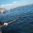 易百纳技术社区