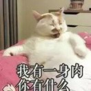 wearshoes's Avatar