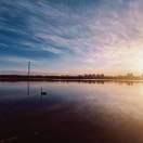 空门的金钵ᯤ⁶ᴳ