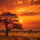 Phil Liang的头像-熵减岛