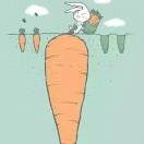 亢奋的胡萝卜