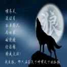 苍狼之吻的头像