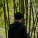 黎先生的头像