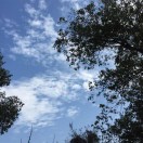 https://thirdwx.qlogo.cn/mmopen/vi_32/DYAIOgq83epic4GYWvRgicwjz3SfJ7wEhNDOUZKrWEeWDlJUjmAAavm8MBhUPGd1sdbq17XyH0qHrE5XU1Sib6XPA/132