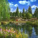 微风徐徐19313912955