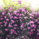 https://thirdwx.qlogo.cn/mmopen/vi_32/DYAIOgq83epjLE81wvjianaFHtX7fQ8iax5jQb6boKhUiaKStkxNpvlvPxjjXEicdeicPmjqibXmJ3wv1ReAn6E7BaTA/132