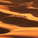 宾客的头像-创码者资源网