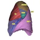 用户43472309的头像-外科技术网