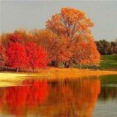 新材料-桃李志远德福