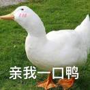 小猫咪，一天2烧鸡