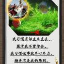 一笑的头像-义乌朱哈网络科技