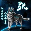 杨先生的头像
