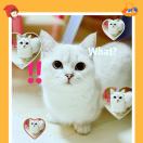 Nicole_158