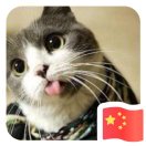 特長生禹
