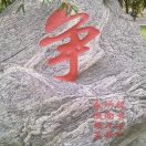 张先生的头像