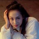 若即。寶山廣告