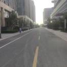 在路上新能源杨总