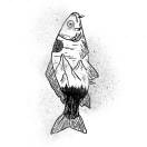 鮮鮮的魚湯鍋鮮鮮的羊湯鍋