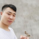 世界没有真情的头像