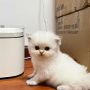 街友_W406590
