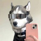 宋先生
