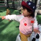 Sozane的头像-熵减岛