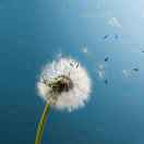 低头_走夜路的头像-博士钣金 - www.bsbanjin.com