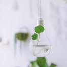 券妈妈会员: 我就是我