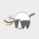 35▽步的头像-cg男孩