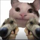 爆炸的温度计的头像-小燕社区