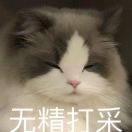 柳俊青的头像