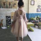 华华🌹百卉园花卉