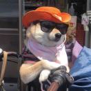 山河故人的头像-博士钣金 - www.bsbanjin.com