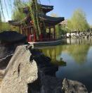 hongye