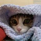 Eleanor Rosa House转租&房东直租