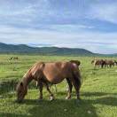 Calm的头像-熵减岛