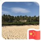 小草远志-外科技术网