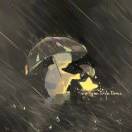 ᝰꫝꪉꪯꫀEʟɪᴀᴜᴋ.