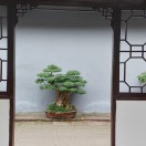 小六山