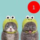 A-wuli瑞瑞🌈🌈