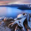 王斋甫的头像-熵减岛