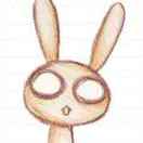 一指流沙、一段年华