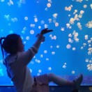 圆然·法雨漫天