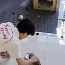 布里斯托求租