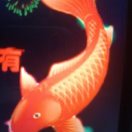 缘【惜缘相聚，秋水伊人】缘