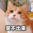 刘佳妮