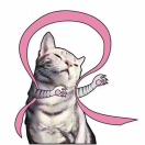 u客直谈实名认证陈涛