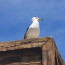 du-机械设计的头像-博士钣金 - www.bsbanjin.com