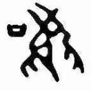 念心合和的头像-熵减岛