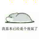 贪吃的白鼠